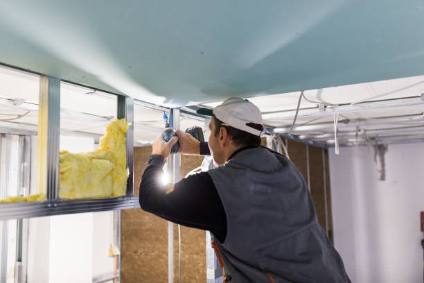 Types of Insulation We Offer in Weldon, CA