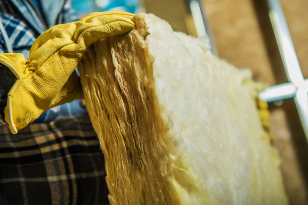 Professional Insulation Contractor in Weldon, CA